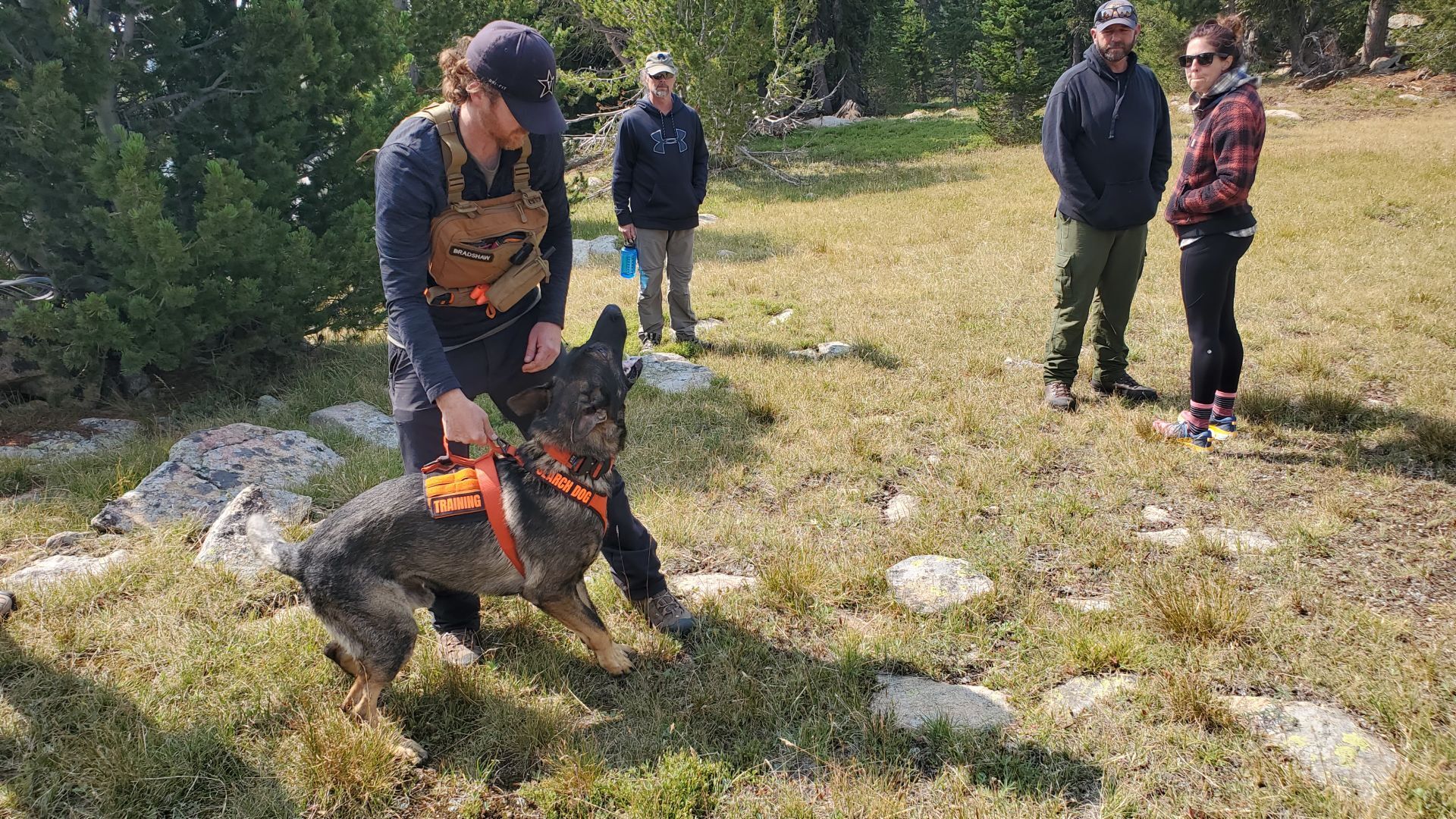 Absaroka Search Dogs